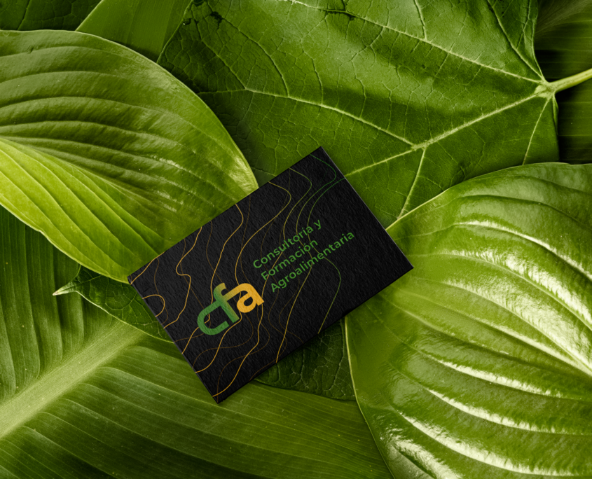 Diseño del nuevo logotipo para CFA (Cecoga)